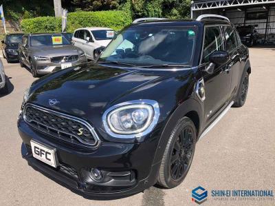 Mini Mini Crossover