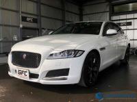 XF 