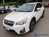 IMPREZA SPORTS 