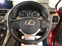 Lexus NX 2020