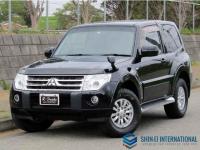 Mitsubishi Pajero 2010