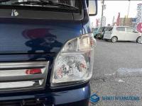 Suzuki CARRY TRUCK 2021