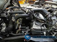 Isuzu Forward 2022