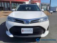 Toyota Corolla Fielder 2018