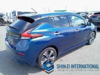 Nissan Leaf 2019