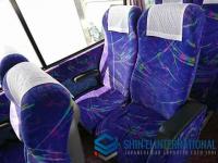 Hino Selega BUS 2000