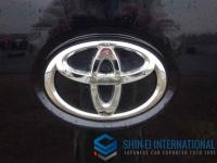 Toyota Regius Ace 2019