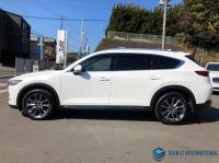 Mazda CX-8 2019