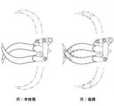 Matsumoto (MAC) GRABBER 2024