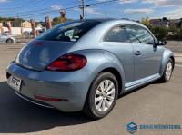 Volkswagen The Beetle 2017