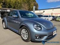 Volkswagen The Beetle 2017