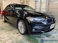 BMW 2 SERIES 2016