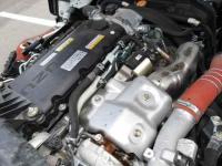 Isuzu ELF 2023