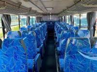 Hino MELPHA 2010