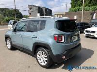 JEEP RENEGADE 2018