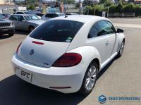 Volkswagen The Beetle 2013
