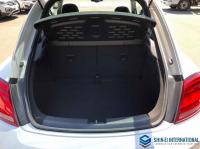 Volkswagen The Beetle 2013