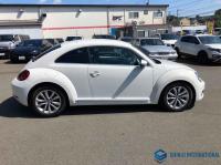 Volkswagen The Beetle 2013