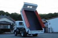 Isuzu Forward 2018