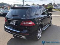Mercedes-Benz M CLASS 2015