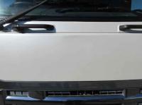 Isuzu Forward 2010