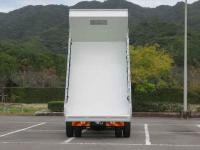 Isuzu Forward 2018