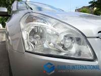 Nissan Dualis 2010
