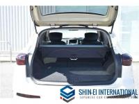 Nissan Skyline Crossover 2011