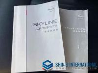 Nissan Skyline Crossover 2011