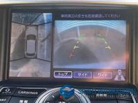 Nissan Skyline Crossover 2011