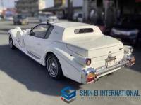 Mitsuoka LE-SEYDE 1991