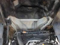 Isuzu Forward 2010