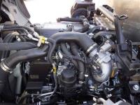 Isuzu Forward 2024