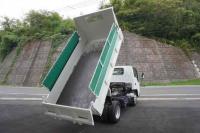 Isuzu ELF 2022
