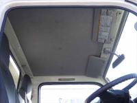 Isuzu ELF 2023