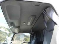Isuzu Forward 2017