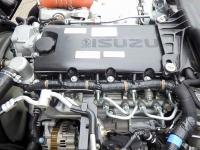Isuzu ELF 2024
