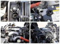 Isuzu Forward 2022