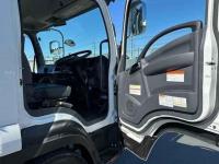Isuzu Forward 2023