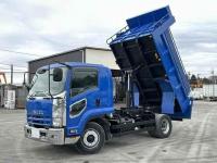 Isuzu Forward 2010