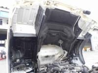 Isuzu Forward 2009