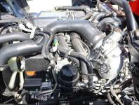 Isuzu Forward 2022