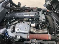 Isuzu ELF 2023