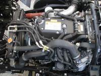 Isuzu Forward 2024