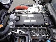 Isuzu ELF 2024