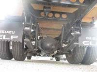 Isuzu ELF 2024
