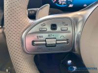 AMG GT-Class 2019