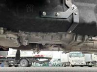 Isuzu ELF 2024