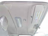 Isuzu Forward 2023