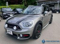 Mini MINI CROSSOVER 2019